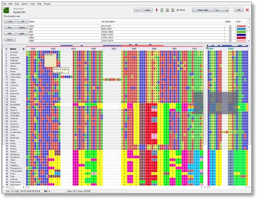 Sample PhyDE editor window